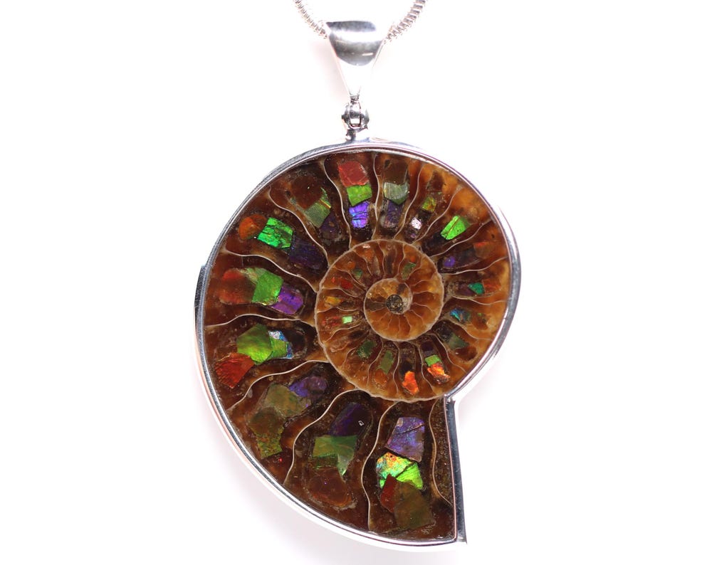 One of a Kind Ammonite Pendant with Ammolite Inlay