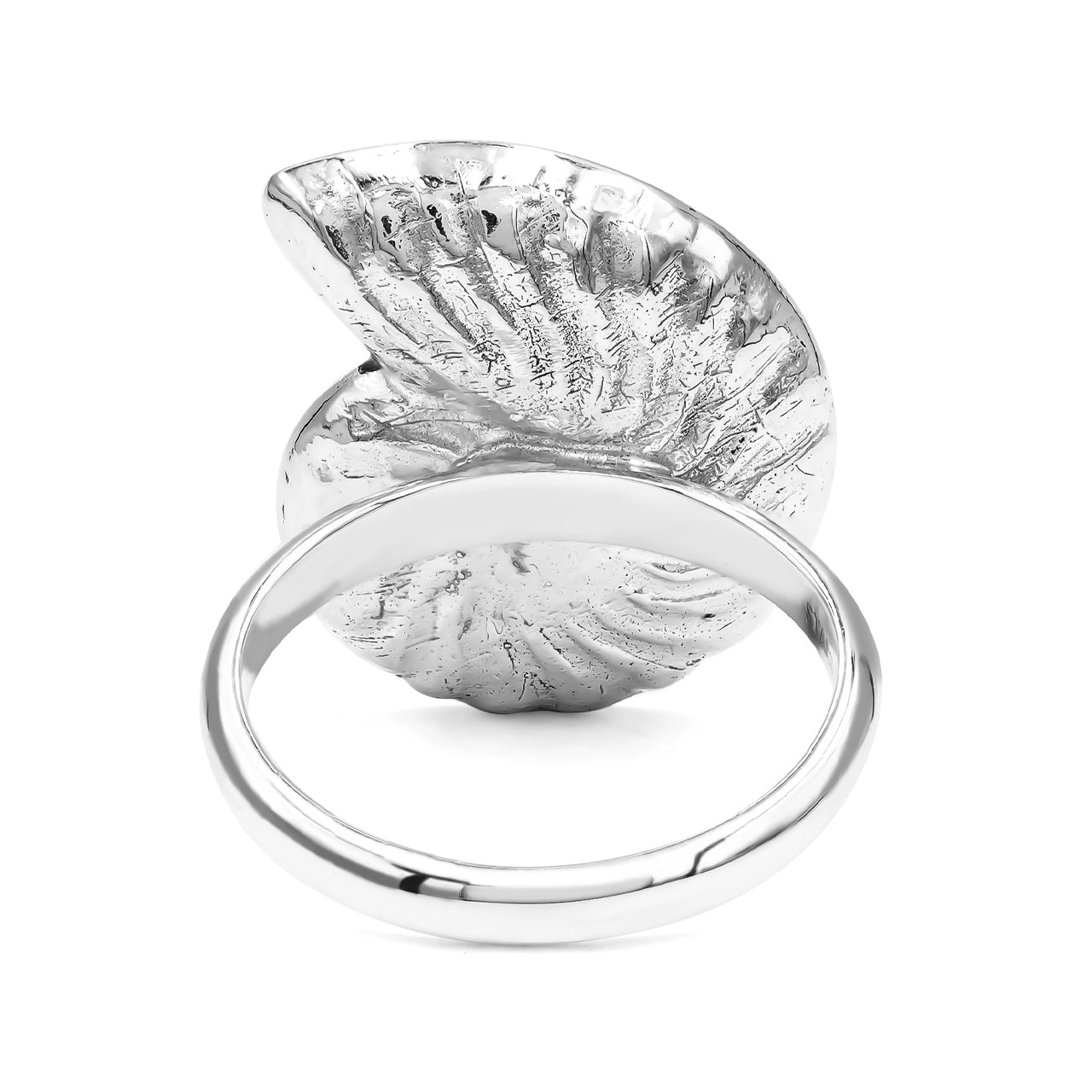 Starborn Abalone Shell Inlay Nautilus Ring in Sterling Silver