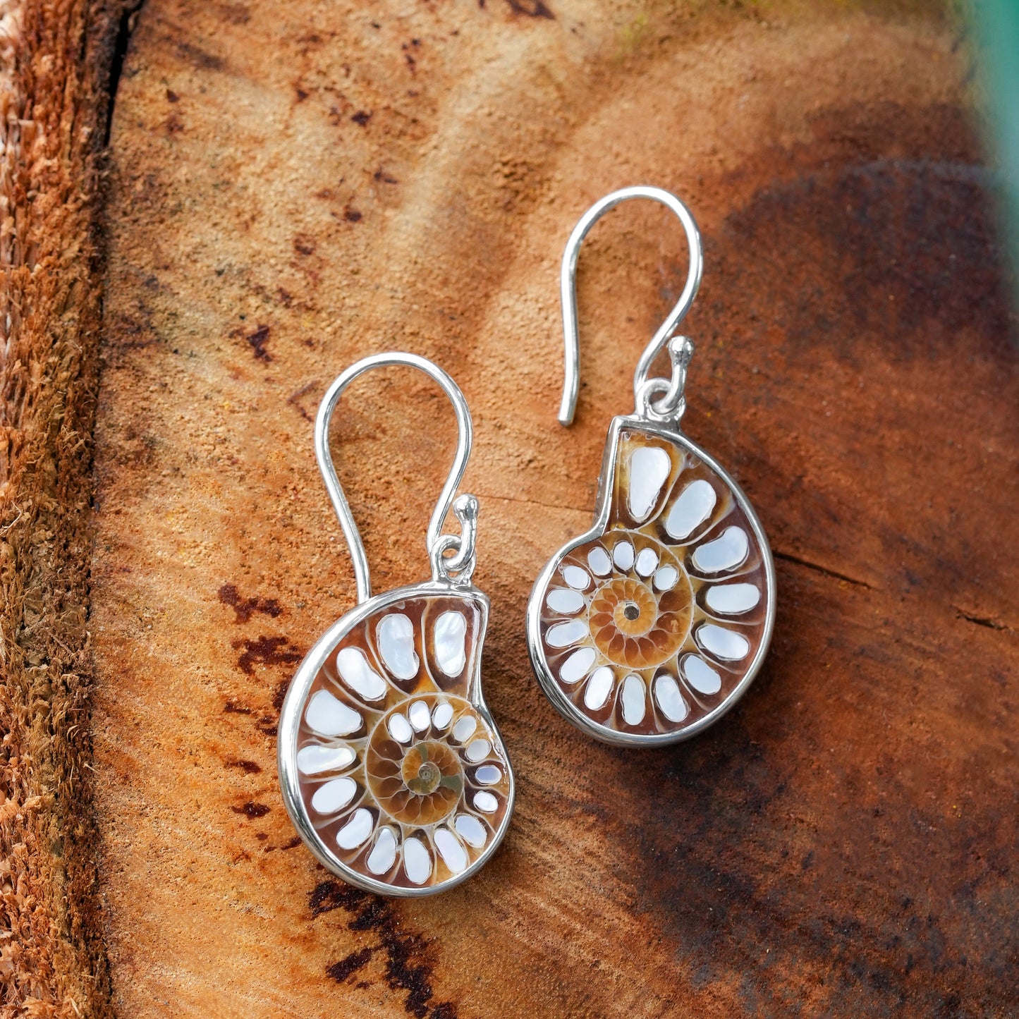 Starborn Mother of Pearl Inlaid Ammonite Earrings in Sterling Silver