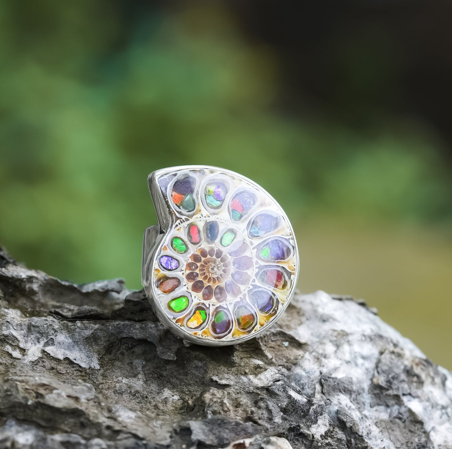 Starborn Ammonite with Ammolite Shell Inlay Ring in Sterling Silver