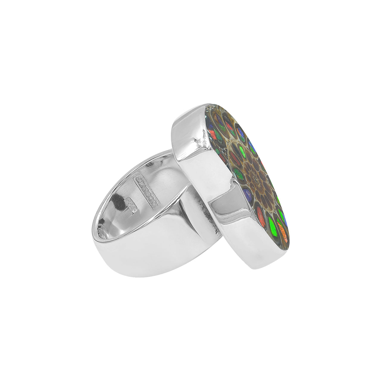 Starborn Ammonite with Ammolite Shell Inlay Ring in Sterling Silver