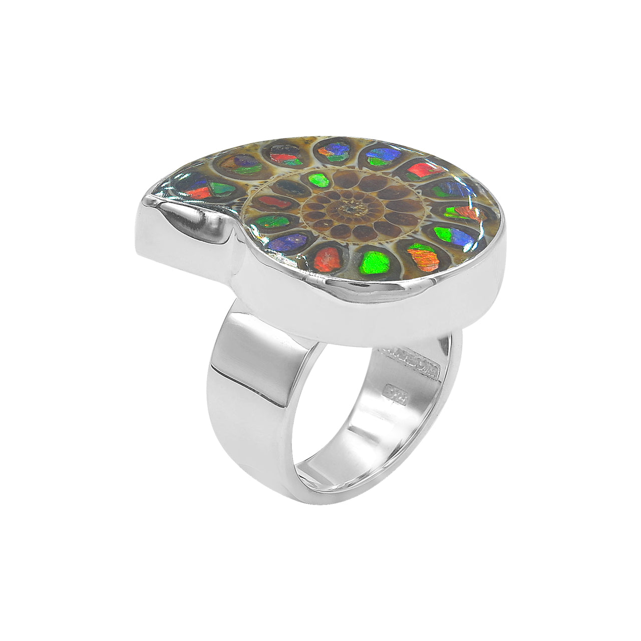 Starborn Ammonite with Ammolite Shell Inlay Ring in Sterling Silver