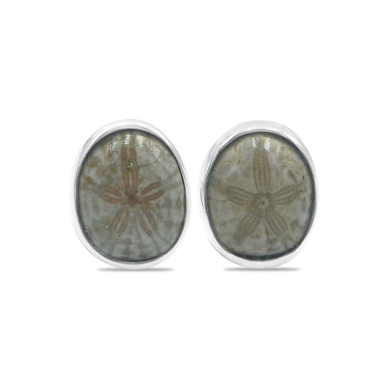 Starborn Fossil Sea Urchin Post Earrings in Sterling Silver