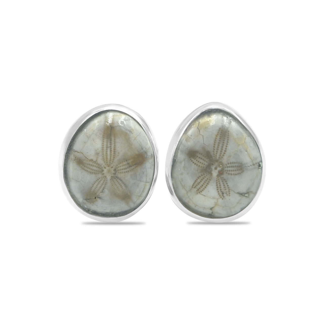 Starborn Fossil Sea Urchin Post Earrings in Sterling Silver