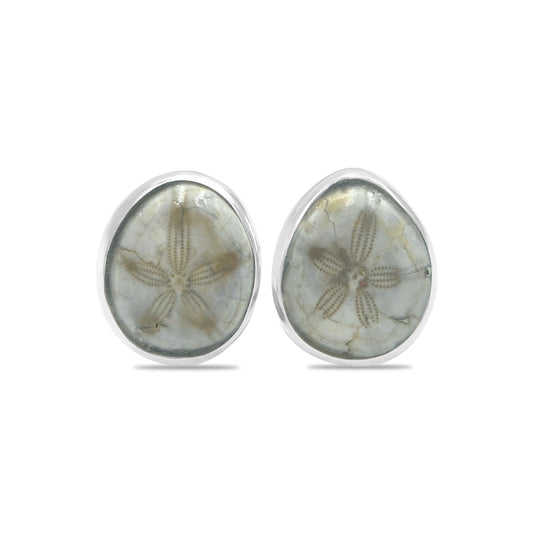 Starborn Fossil Sea Urchin Post Earrings in Sterling Silver
