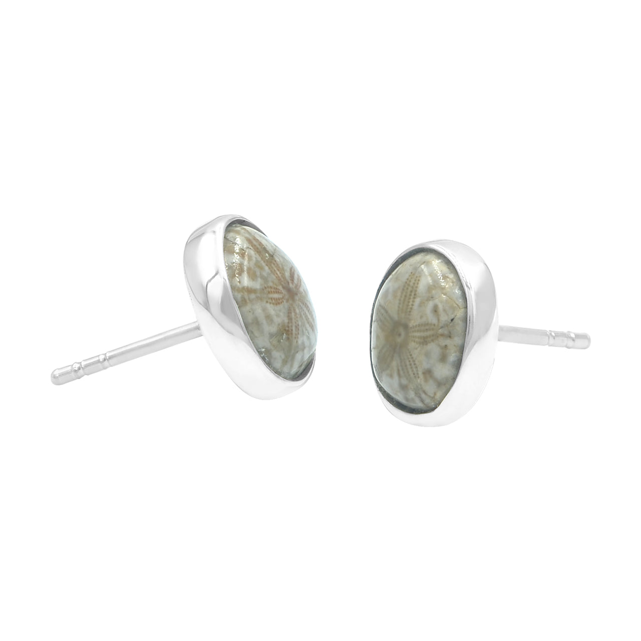 Starborn Fossil Sea Urchin Post Earrings in Sterling Silver