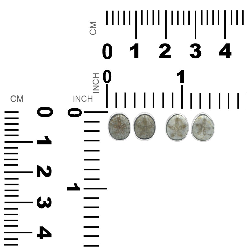 Starborn Fossil Sea Urchin Post Earrings in Sterling Silver
