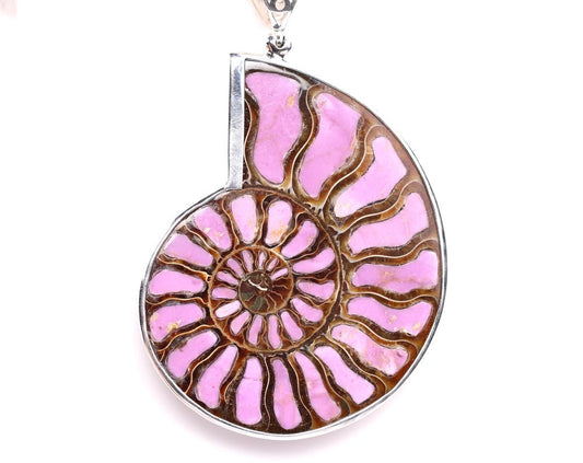 Large Ammonite Pendant with Phosphosiderite Inlay