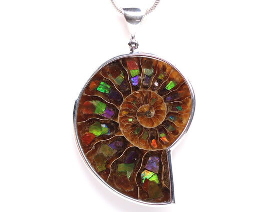 One of a Kind Ammonite Pendant with Ammolite Inlay