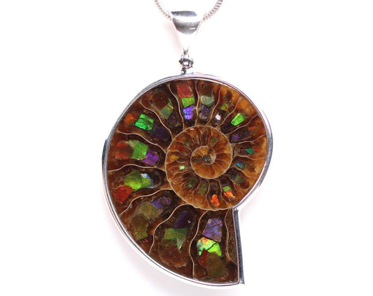 One of a Kind Ammonite Pendant with Ammolite Inlay